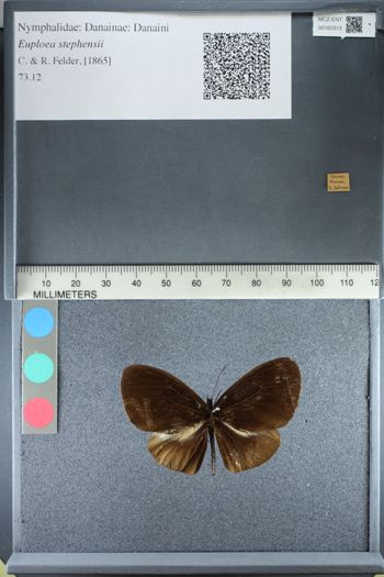 Media type: image;   Entomology 160313